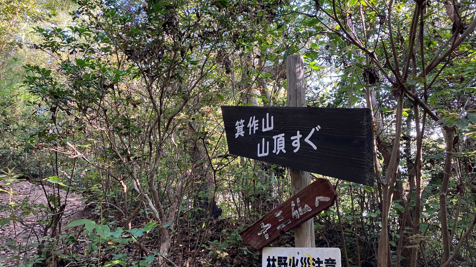 ちゃっちゃと進むと「箕作山山頂すぐ」の看板が。
オレは騙されんぞーーー！！！