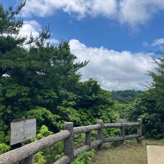 予報通り晴れてきました♪
