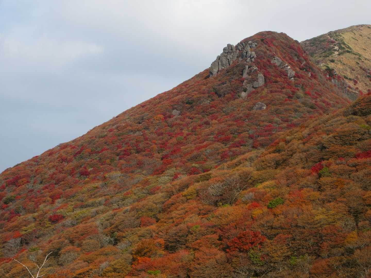 四季折々の景色を楽しめる九州随一の稜線歩きコース（牧ノ戸-久住山）の写真
