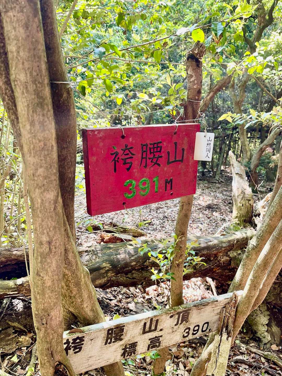 南郷バス停-立木山-袴腰山-袴腰山登り口 縦走コースの写真