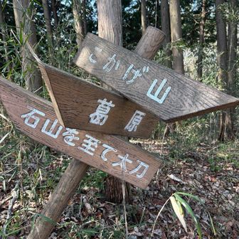 絶妙な傾き加減でわかりやすい