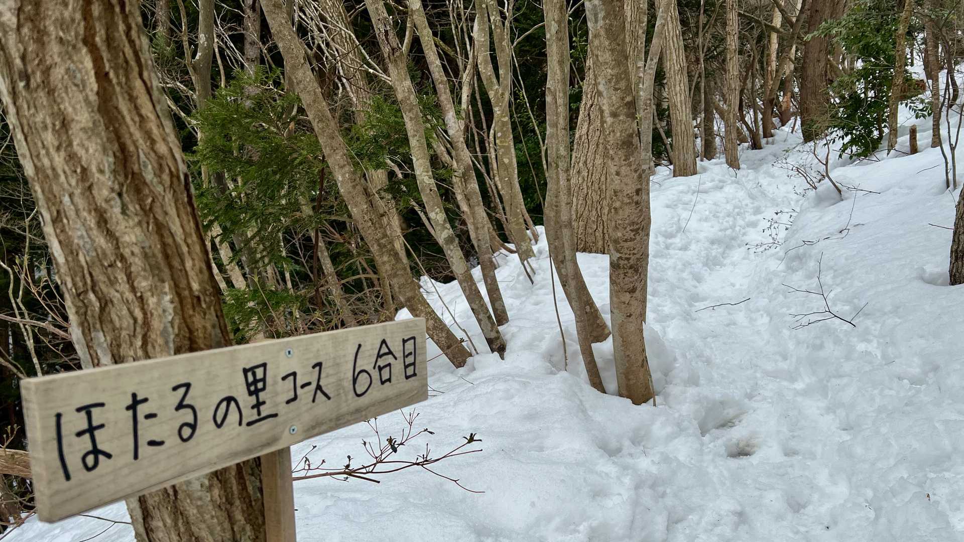 風もなく穏やか。全く寒くない。とても快適。登りでは結構の汗が噴き出る。