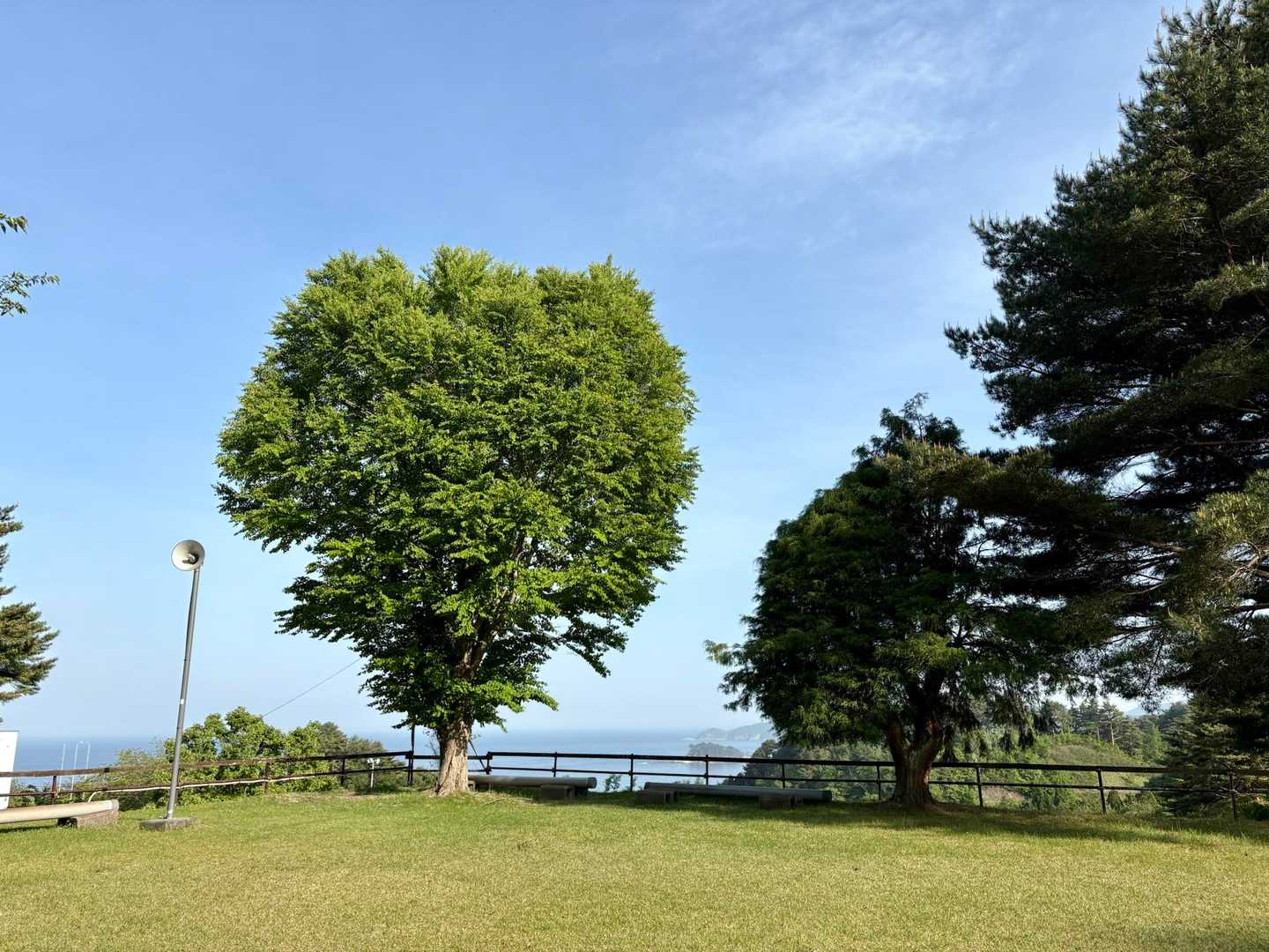 無事下山💚
ありがとうございました😊