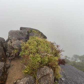 山頂からの眺めはガスのためありませんでした。ホテルの方にお聞きしたところ、晴れた日の眺めはほんと素晴らしいそうです。