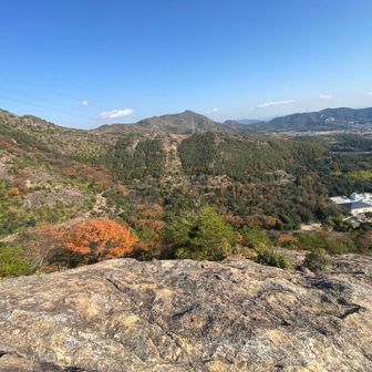 まだまだ続きます