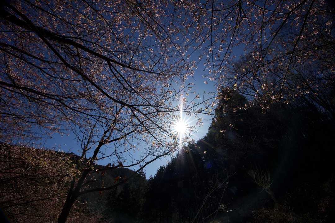 奥高尾〜裏高尾縦走（陣馬山・堂所山・富士見台・駒木野） の写真 5
