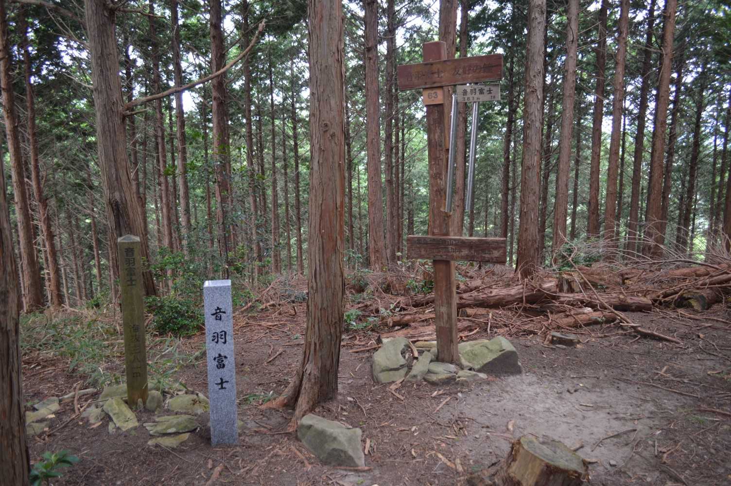 音羽富士まで来ました🚶