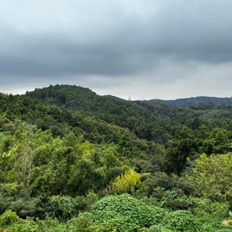 横浜市最高峰✨大丸山が見えました👀