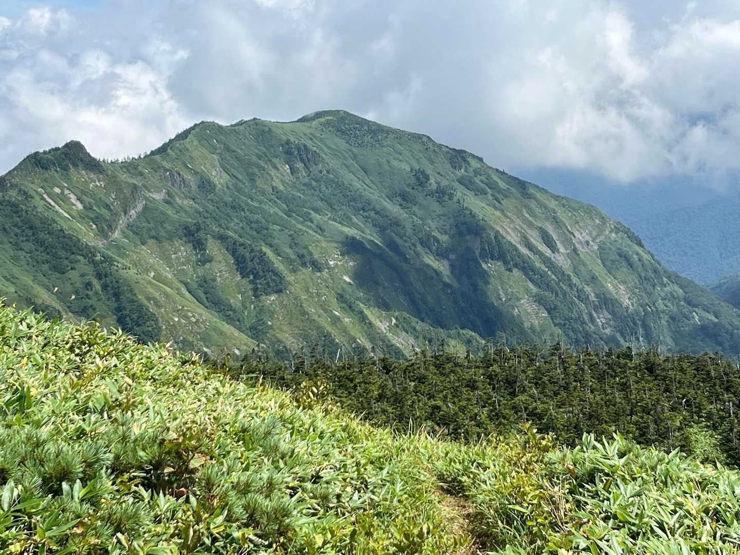 山頂駅-金山沢の頭-裏寺子屋山-岩菅山-裏岩菅山-一の瀬バ 縦走コースの写真