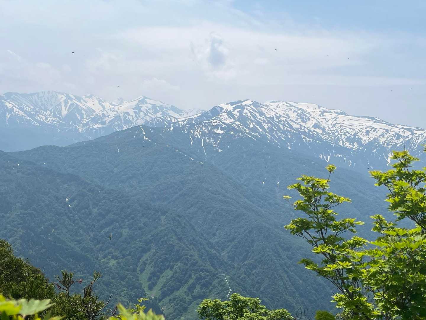 明星山（作業道入り口）<岡集落コース>の写真