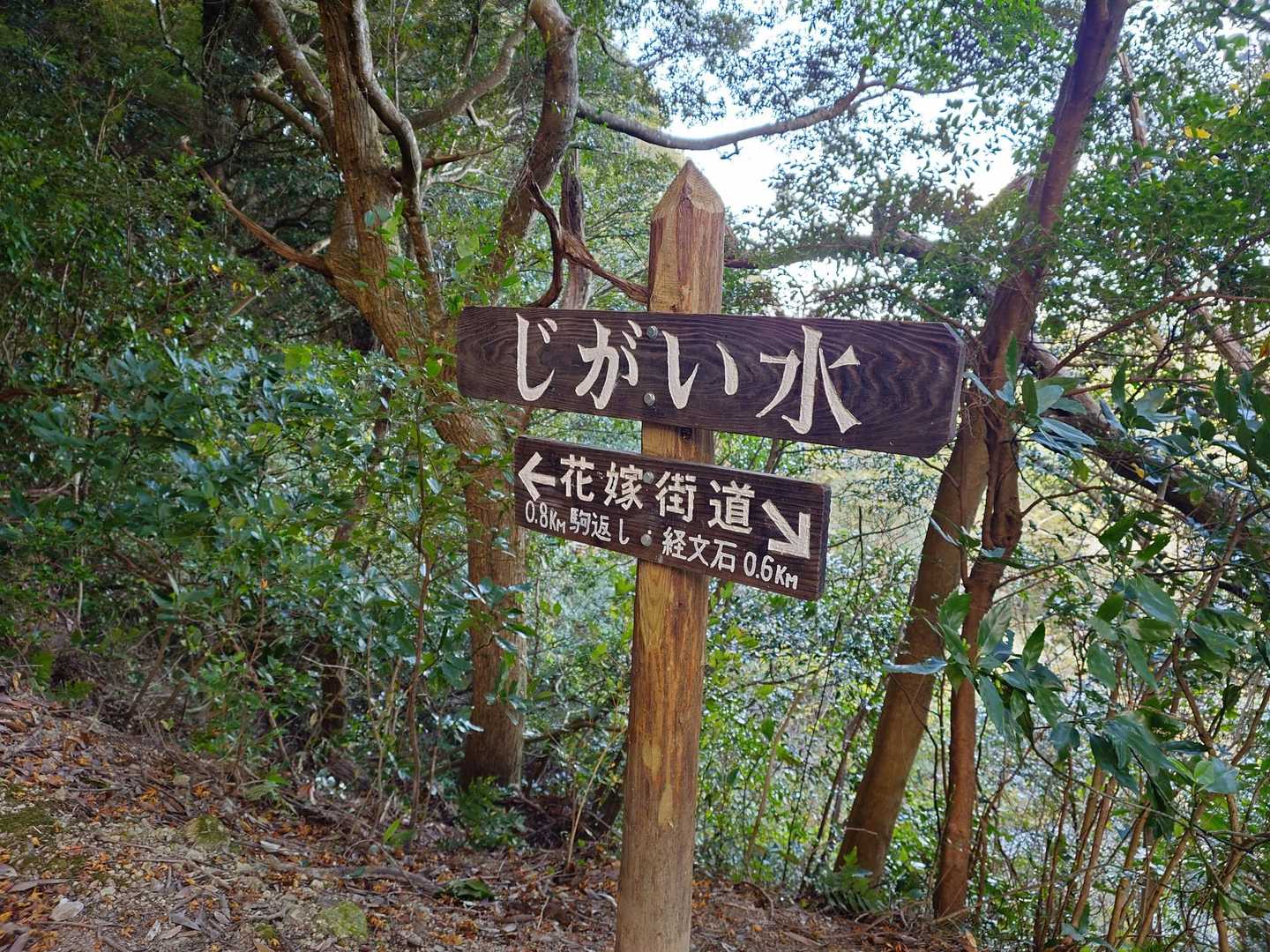 落人伝説や自我井水(隠し水田の水源)など諸説あり
水は何処にも見当たらない

平仮名コワイヨ…