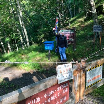 登山道を行きます
しらびそ小屋まで向かいます