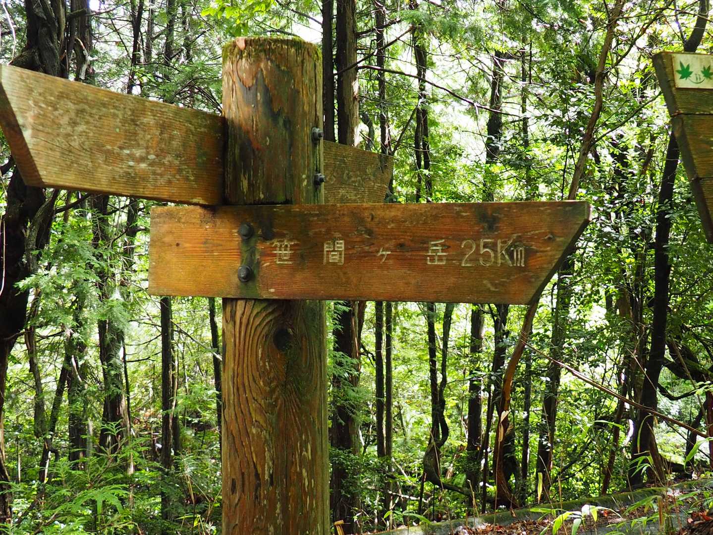 笹間ヶ岳まで2.5km。太神山・不動寺までは3.5km。