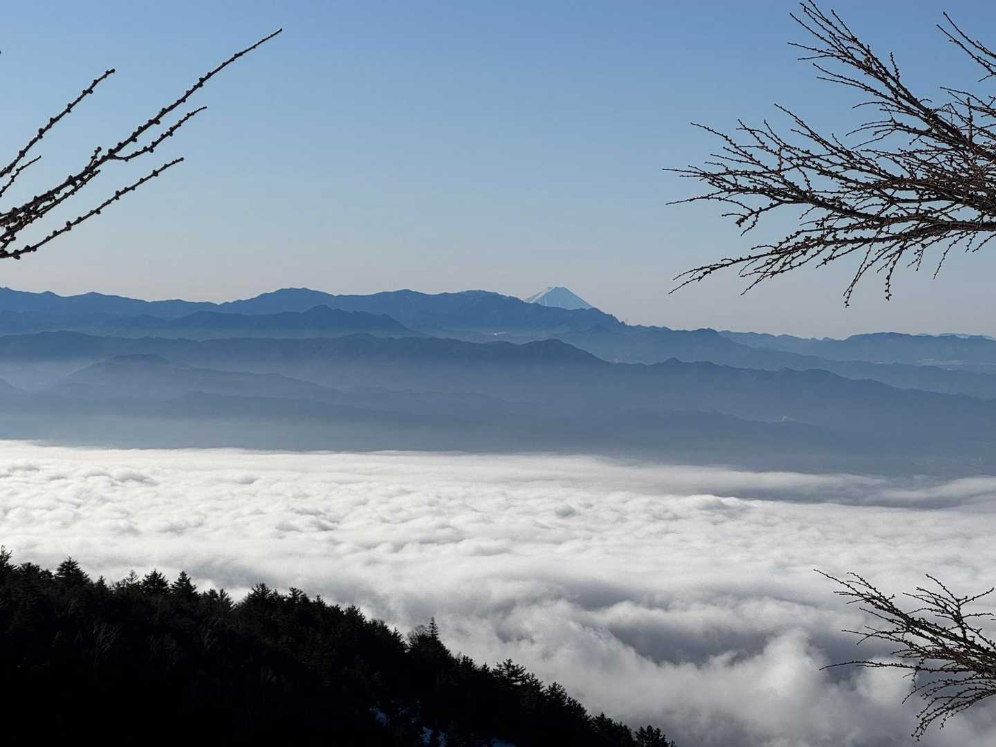 富士山🗻