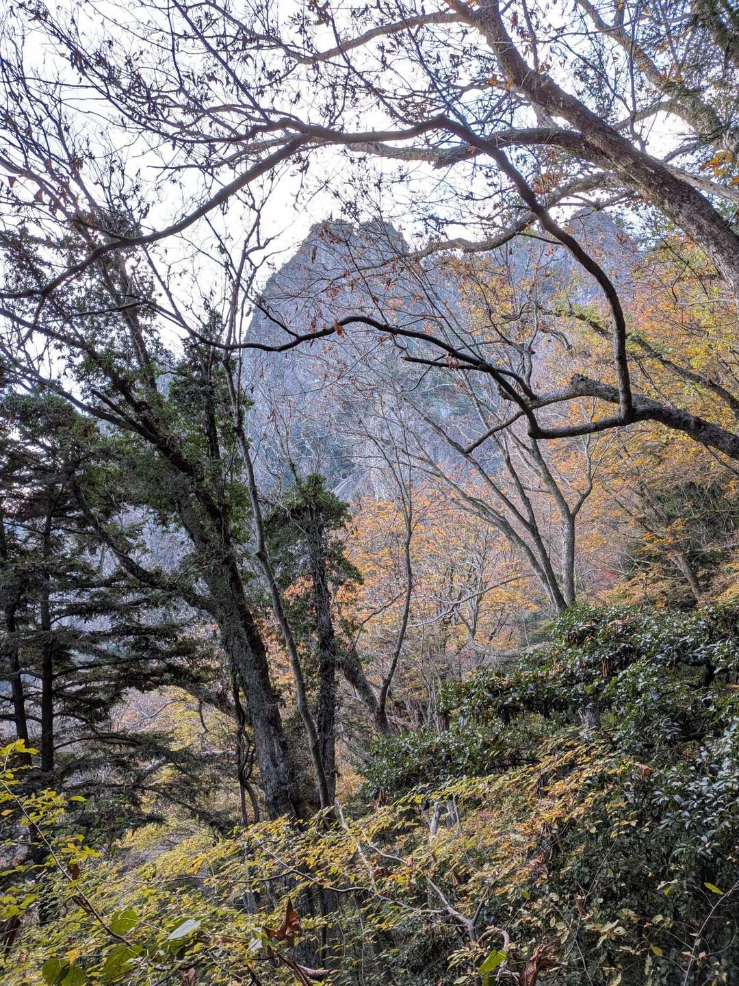 登った山が見えます