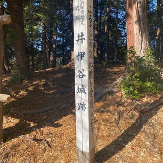 井伊谷城跡🏯