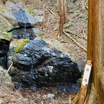 白滝。水が滴っているだけでした。😭