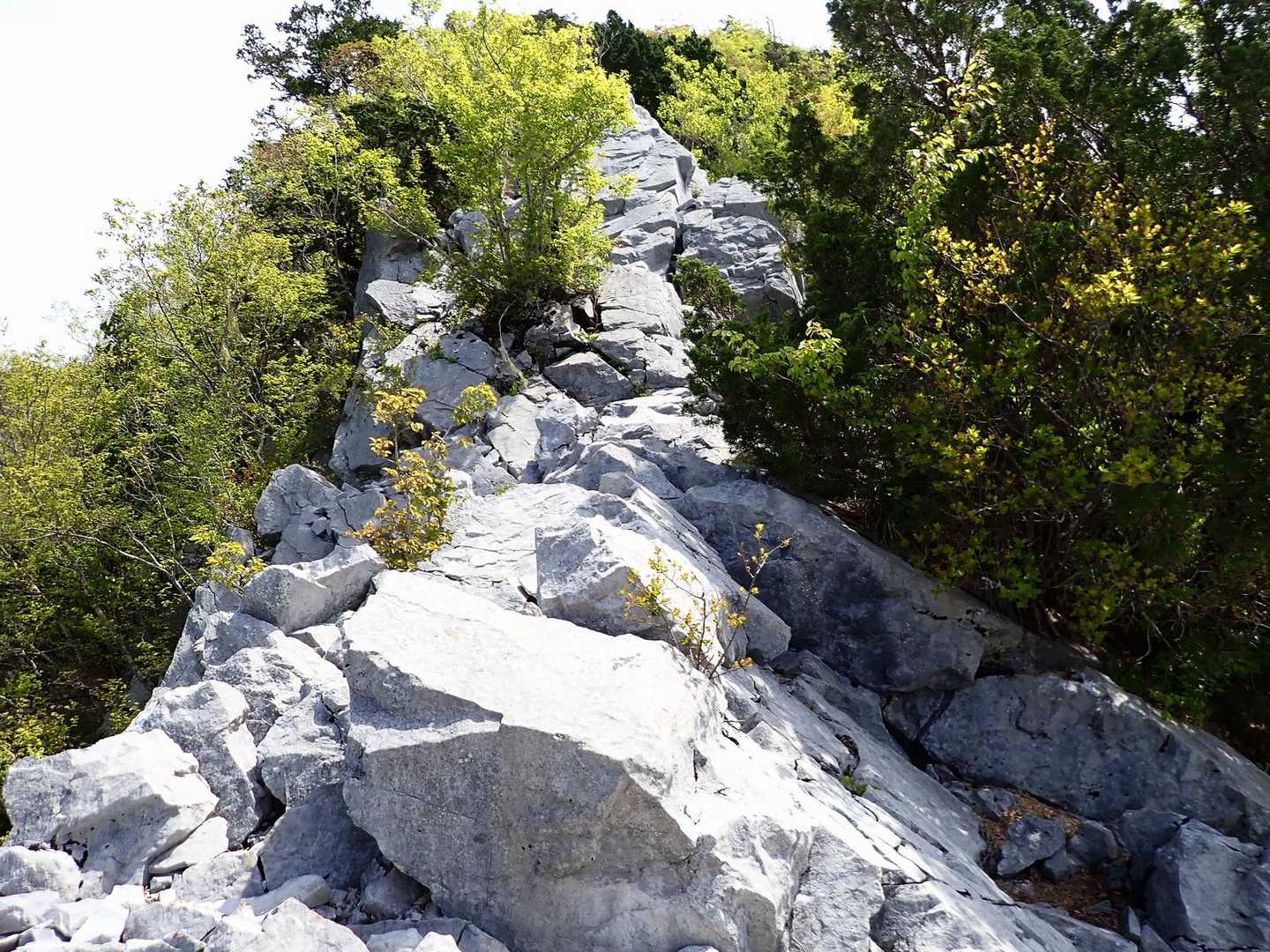 中間点の「岩場」で一休み（1220m）