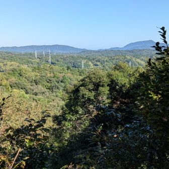 眺望😅
右が依遅ケ尾山⛰️