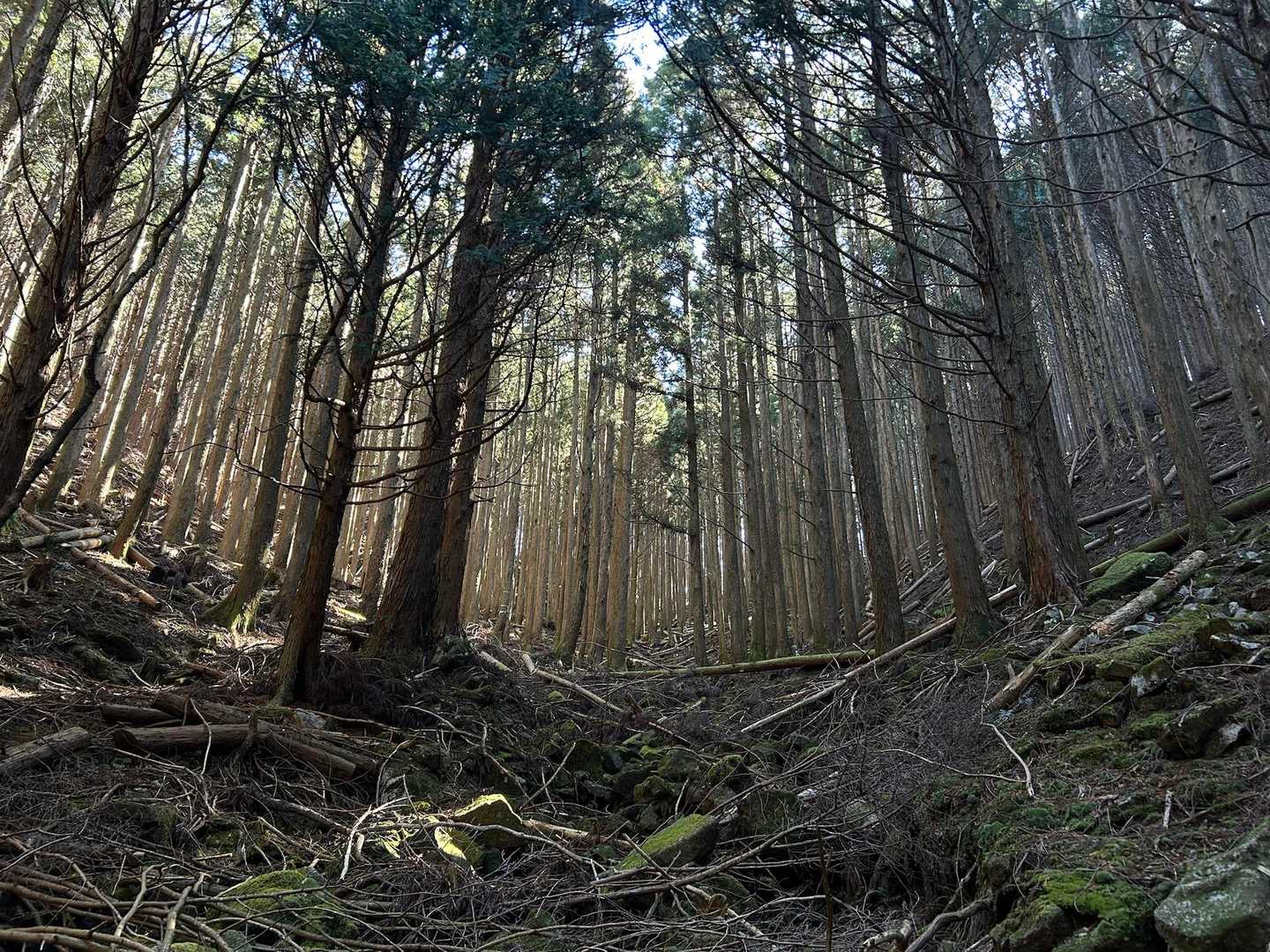 高杉〜高杉〜たかすぎ〜