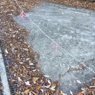 危なかった…‼️
また、引っ掛かって、頭ぶつけて後遺症に悩む事になりそうだった…。