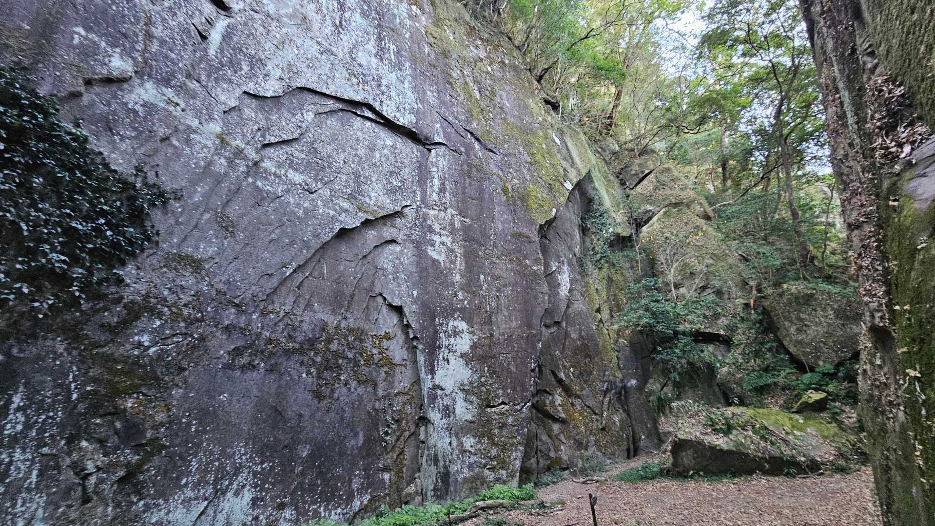 小谷登山口-双石山 往復コースの写真