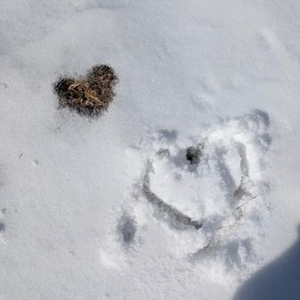 雪の中にハート型❤️