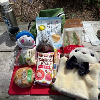 寒いかなーと思ったら暑い
チョコ溶ける〜😵‍💫
まだまだ蝉も元気🌻