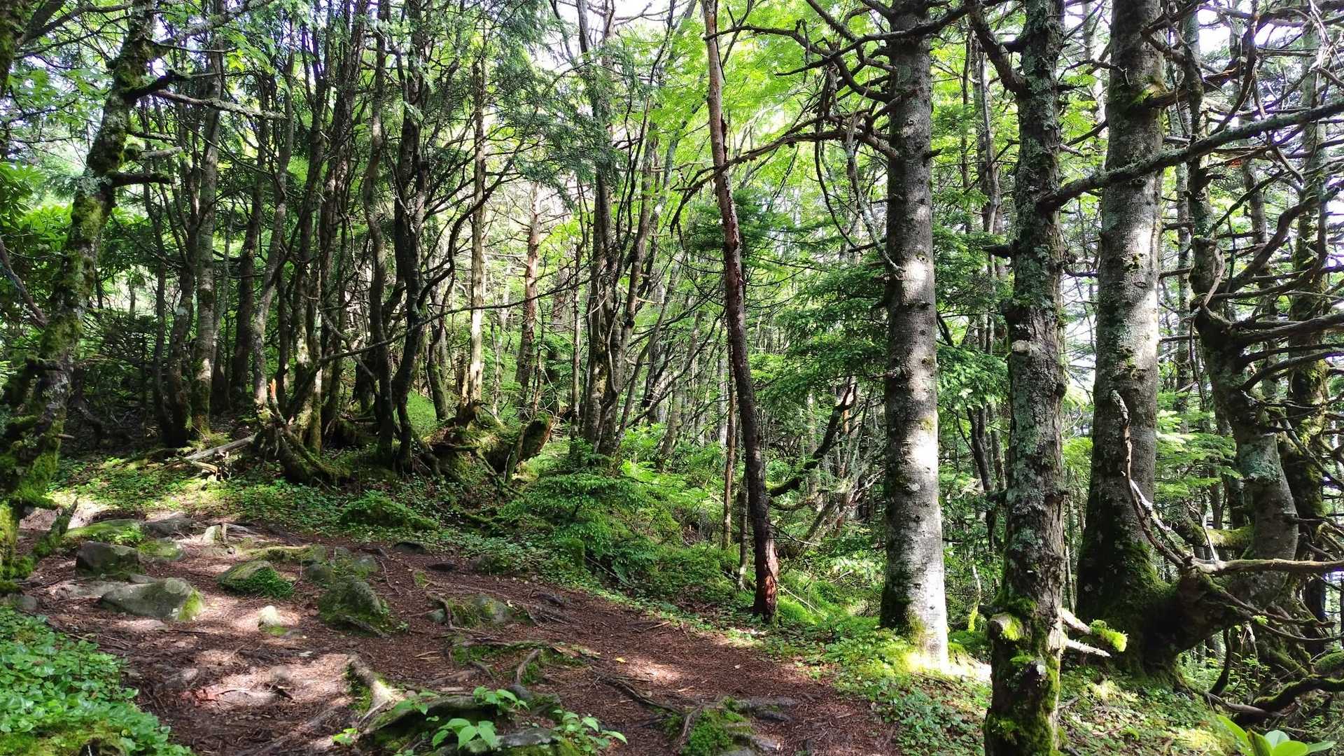 爽やか~ﾙﾝﾙﾝ🎶
Hikerｻﾝ少なくいぃ感じﾃﾞｽ