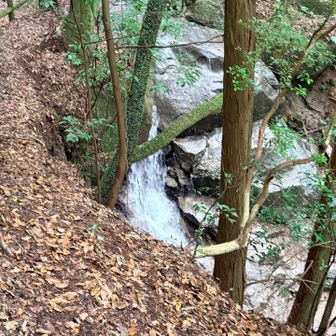 白霧の滝
ちょっと見にくかったです💦