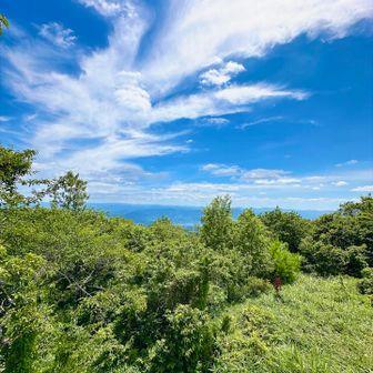 晴れてて嬉しい☀️.°