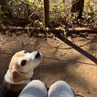 まだいかない？