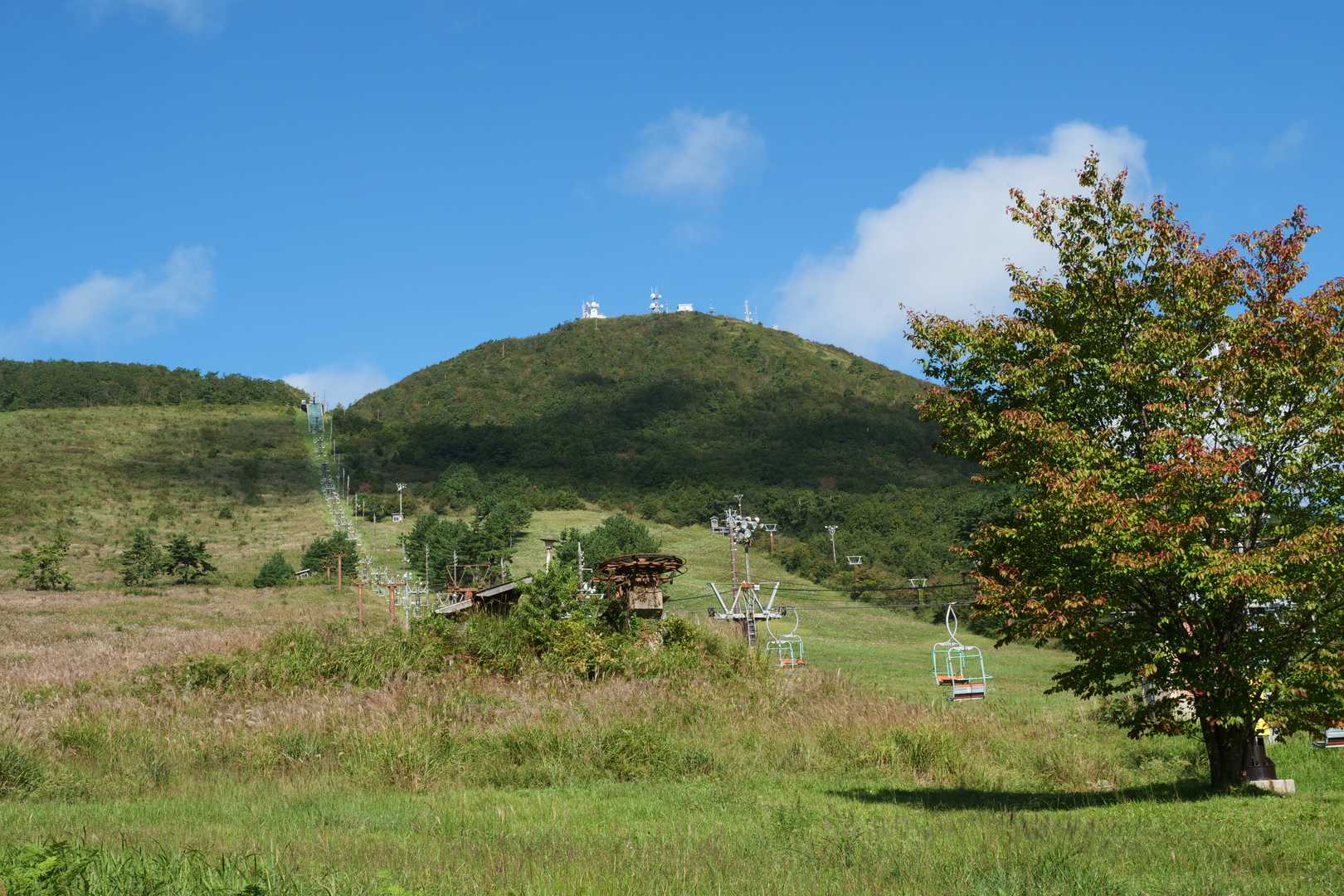 ハイキング日和のいい天気になりました。