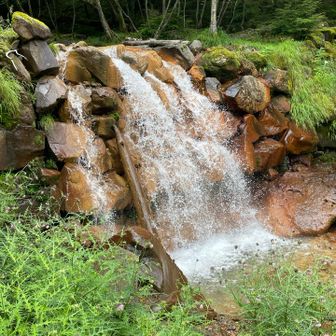 夏沢鉱泉横の沢は
硫黄で黄色く染まってました