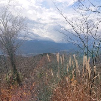 八重山山頂からのパノラマ風景