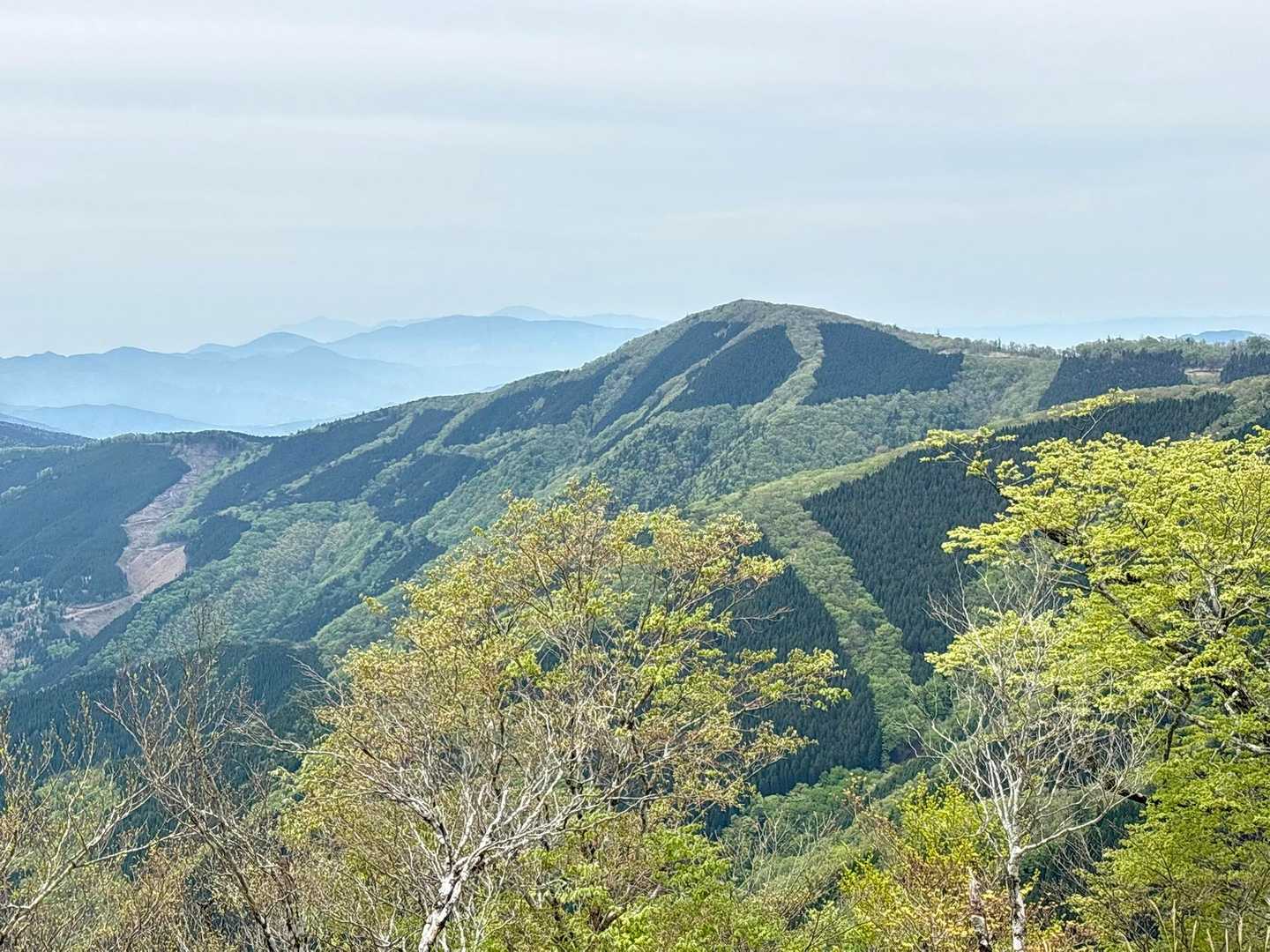 唐谷登山口-白鳥山-時雨岳-時雨岳登山口 周回コースの写真