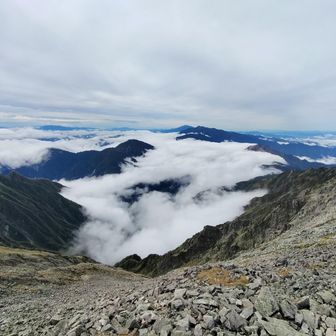 上高地の雲海