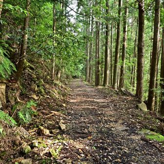 蓬莱湖キャンプ場近くの登山駐車場から登山口へ移動🚶‍♂️小さな小川や沢が綺麗で皆んなで感動🤩
その後から迫る恐怖を知らずに…😅