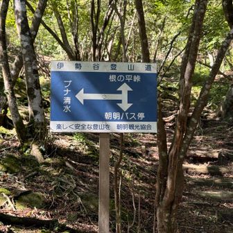 ブナ清水方面から根の平峠へ。
ここから根の平峠は近い。