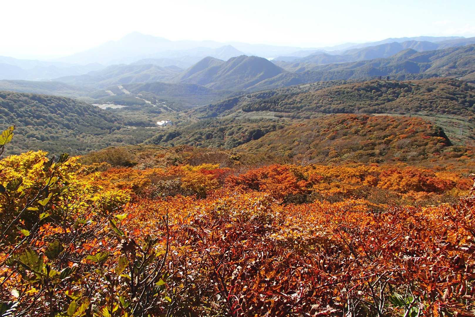 穏やかな秋晴れのもと　素晴らしい紅葉と展望を楽しみました　