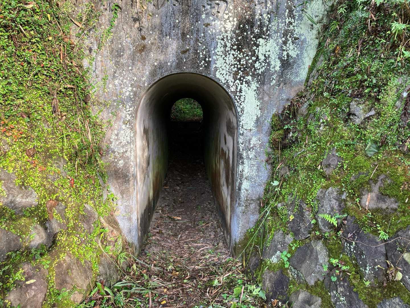 お馴染みのトンネル