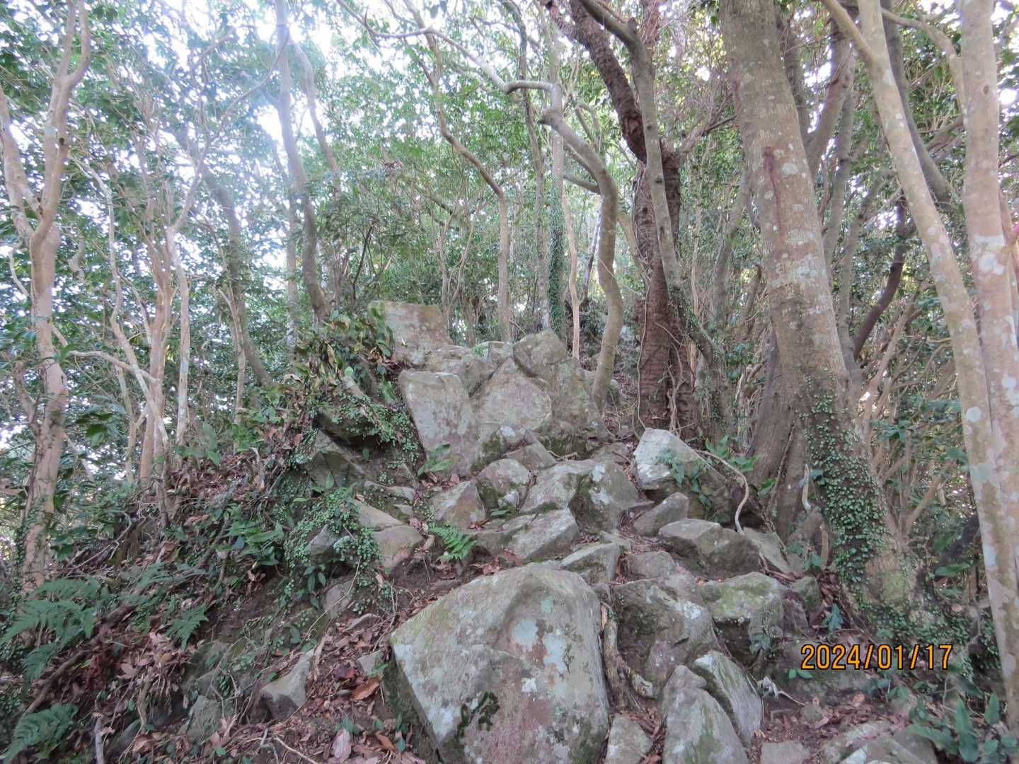 尾根の岩場を越える🚶