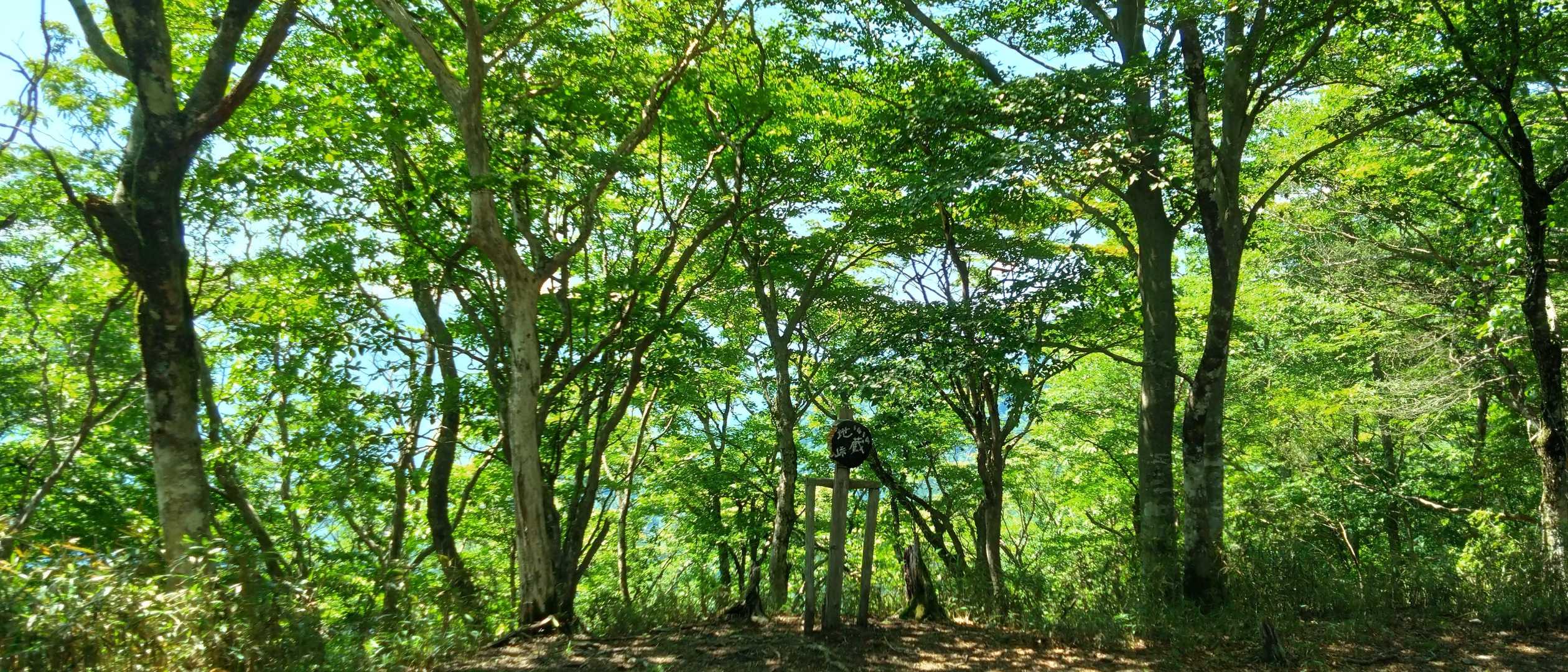 標柱