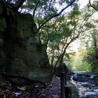 楽しく歩けました♪

巨人の横顔😲