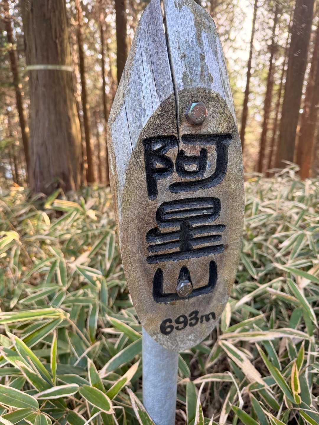 この笹がなぁ😅
