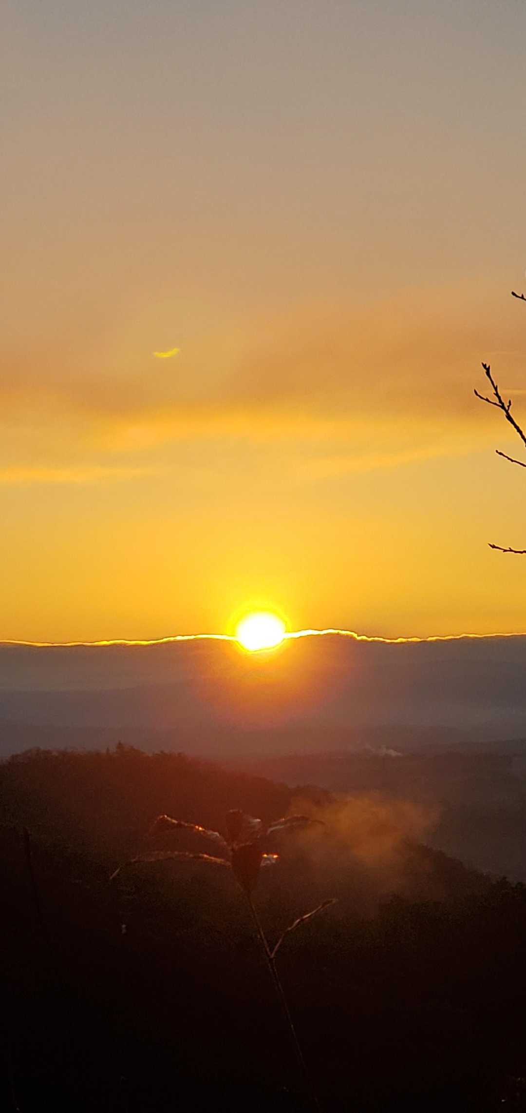 出たぁ～🌅