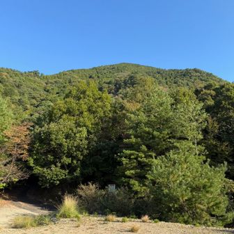 登山口から見上げる局ヶ岳