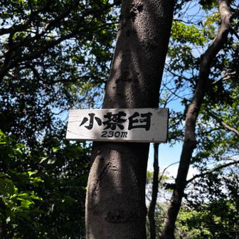 小茶臼
