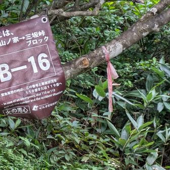 軽そうに見えるので入山者が多い山

縦走すればかなりな山