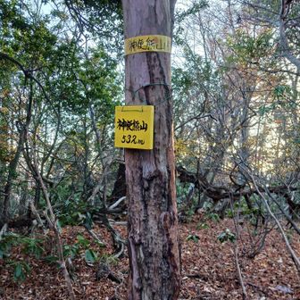 下山でもういっこピーク